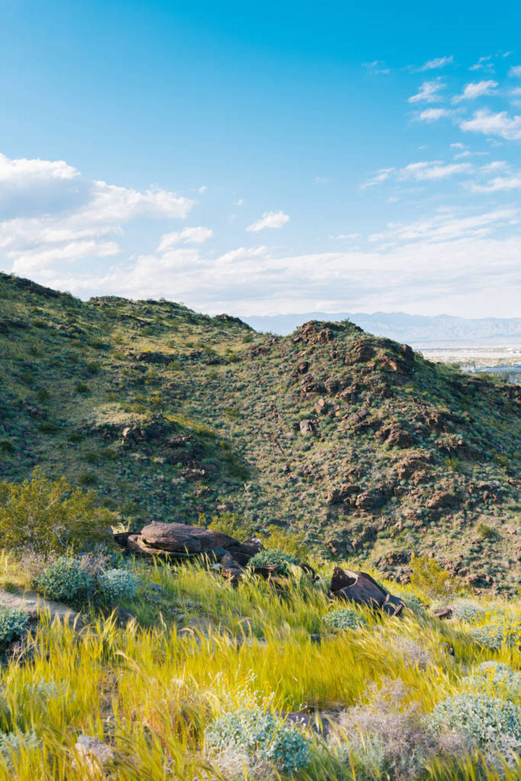 Mountains in Palm Springs, California