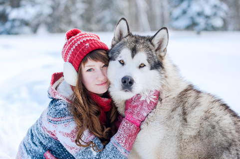 年轻的女孩,抱着狗沙哑冬天