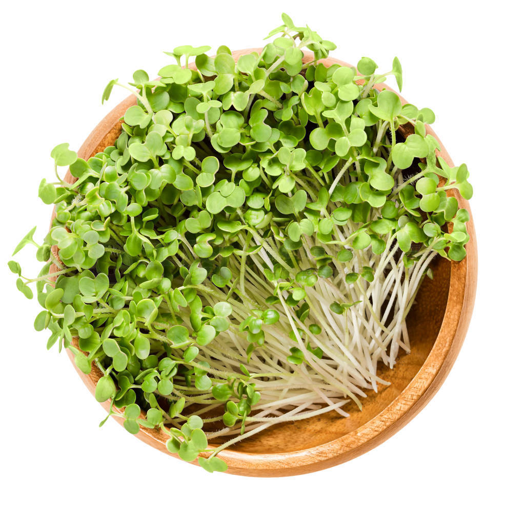 ɫĩ microgreen ľڰɫ