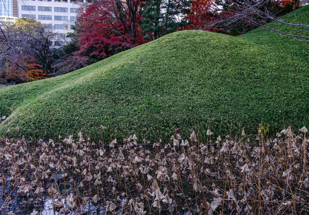 Grass hill at autumn park