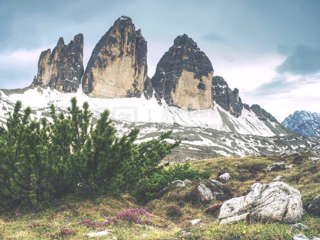 Great view of alpine Tre Cime di Lavaredo massif.