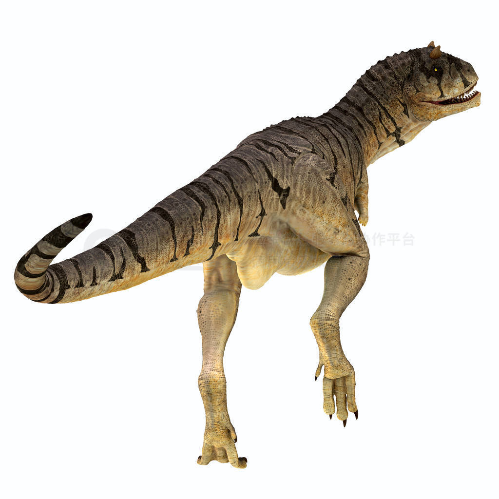 Carnotaurus һʳʳ, סڰ, ͢ڰѼڼ