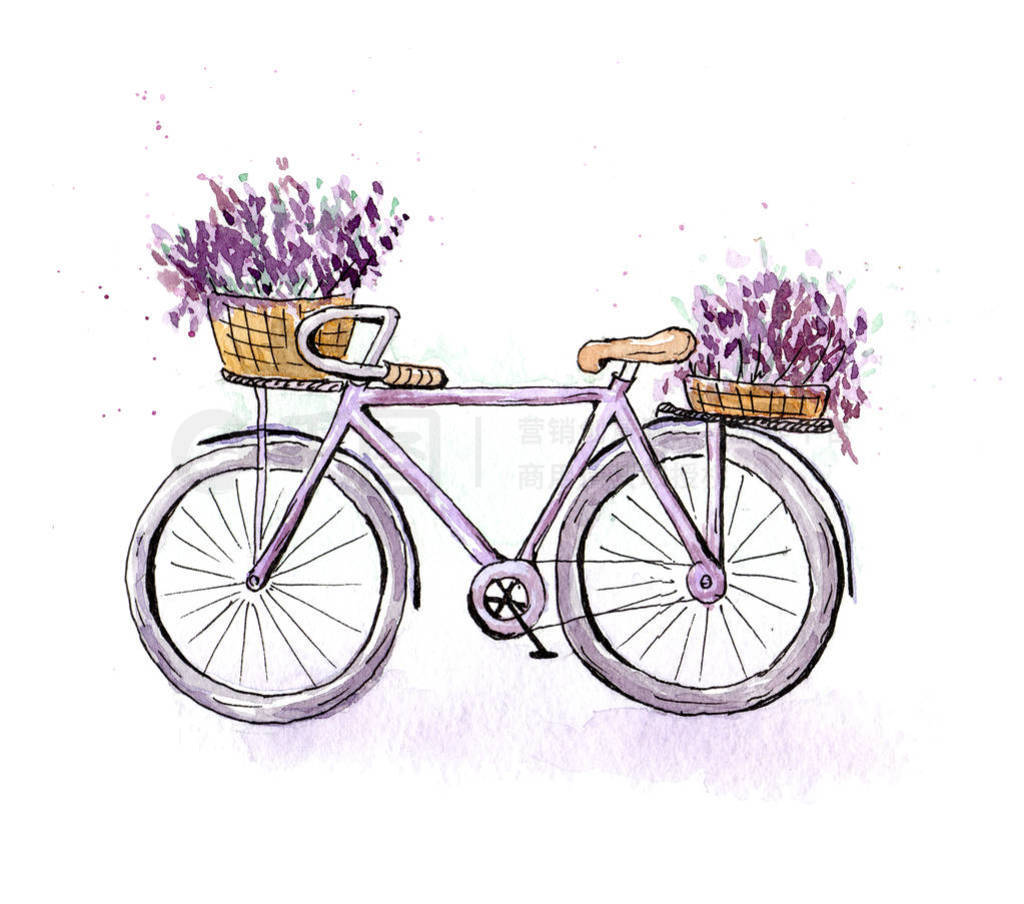 illustration of a purple retro bicycle with baskets of lavender