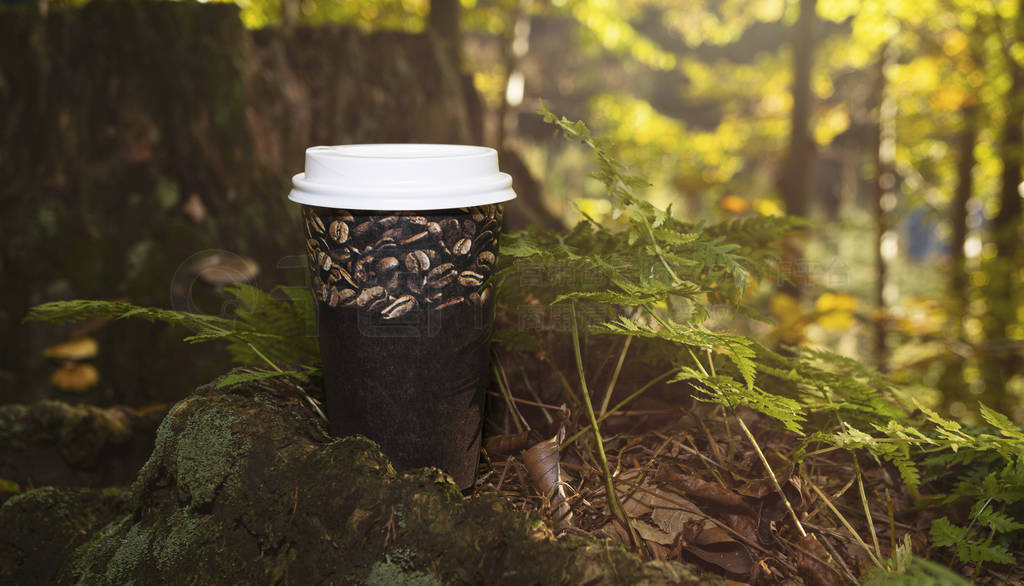 Cup of coffee on the stump in the forest. Autumn, fall concept.