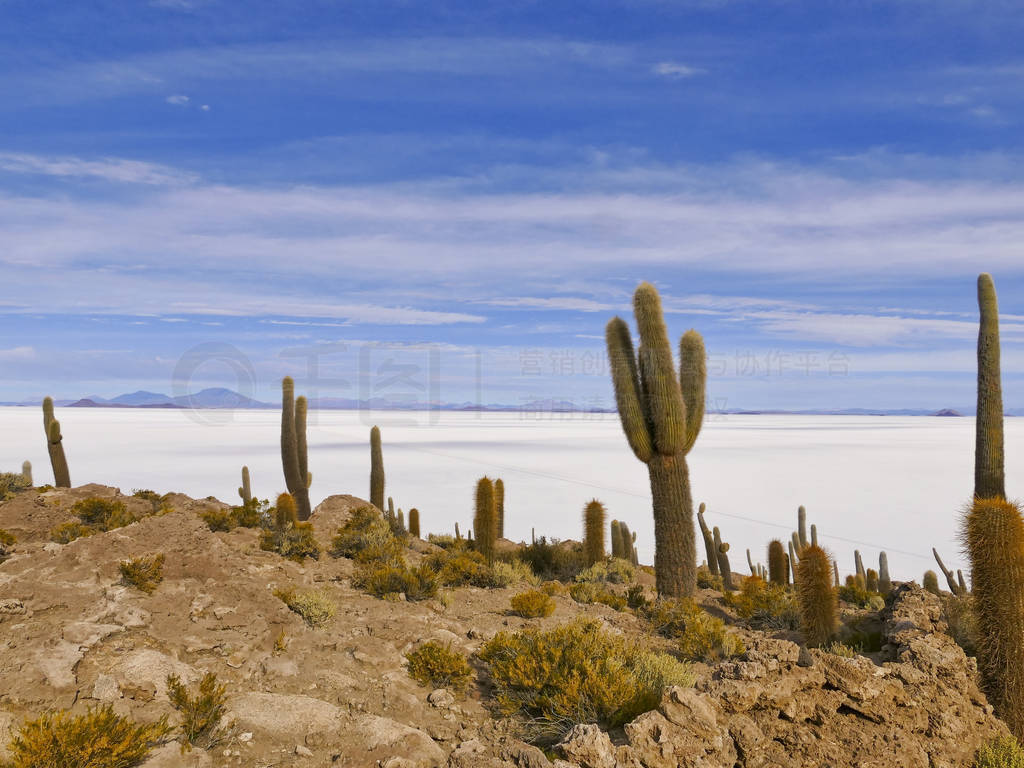 View from Isla Incahuasi on Salar de Uyuni, Altiplano, Salar de