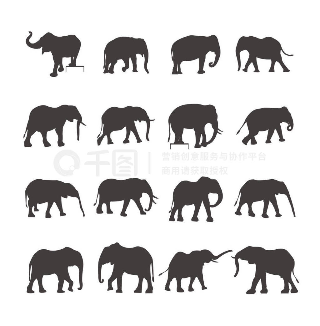 һ׻ɫ elefant ͼ