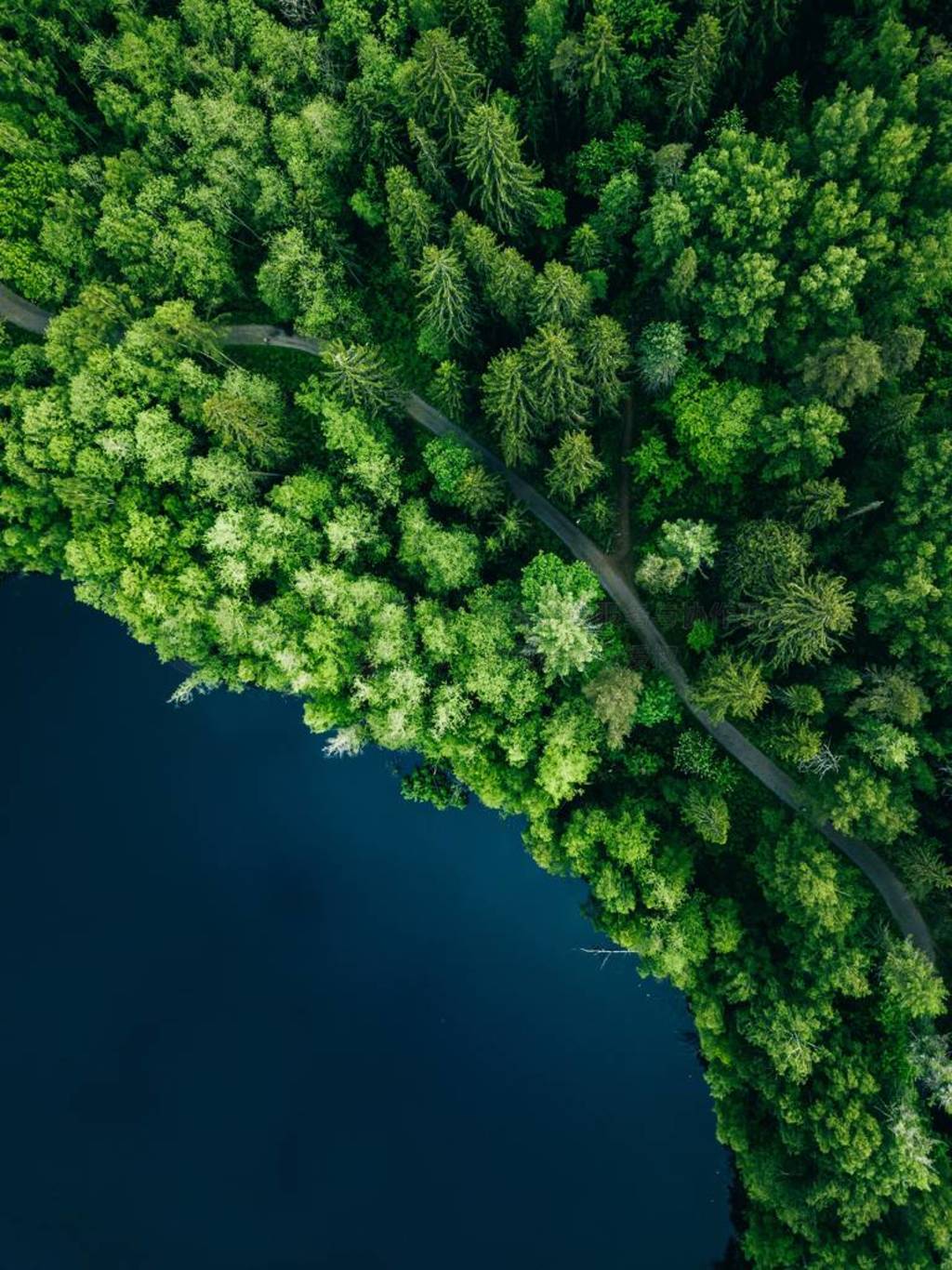 Aerial top view of country road in green summer forest and blue