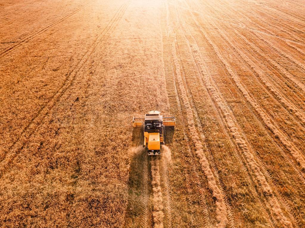 Aerial view of Combine harvester agriculture machine harvesting