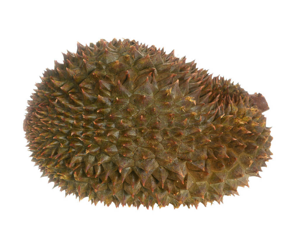 ripe durian