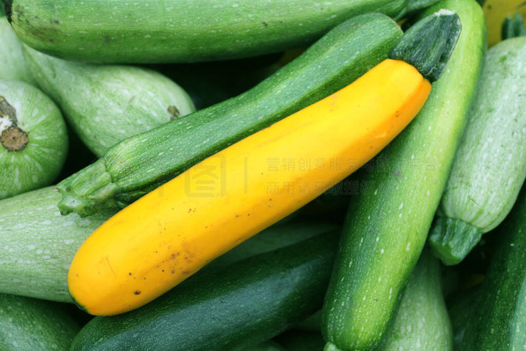 green zucchini