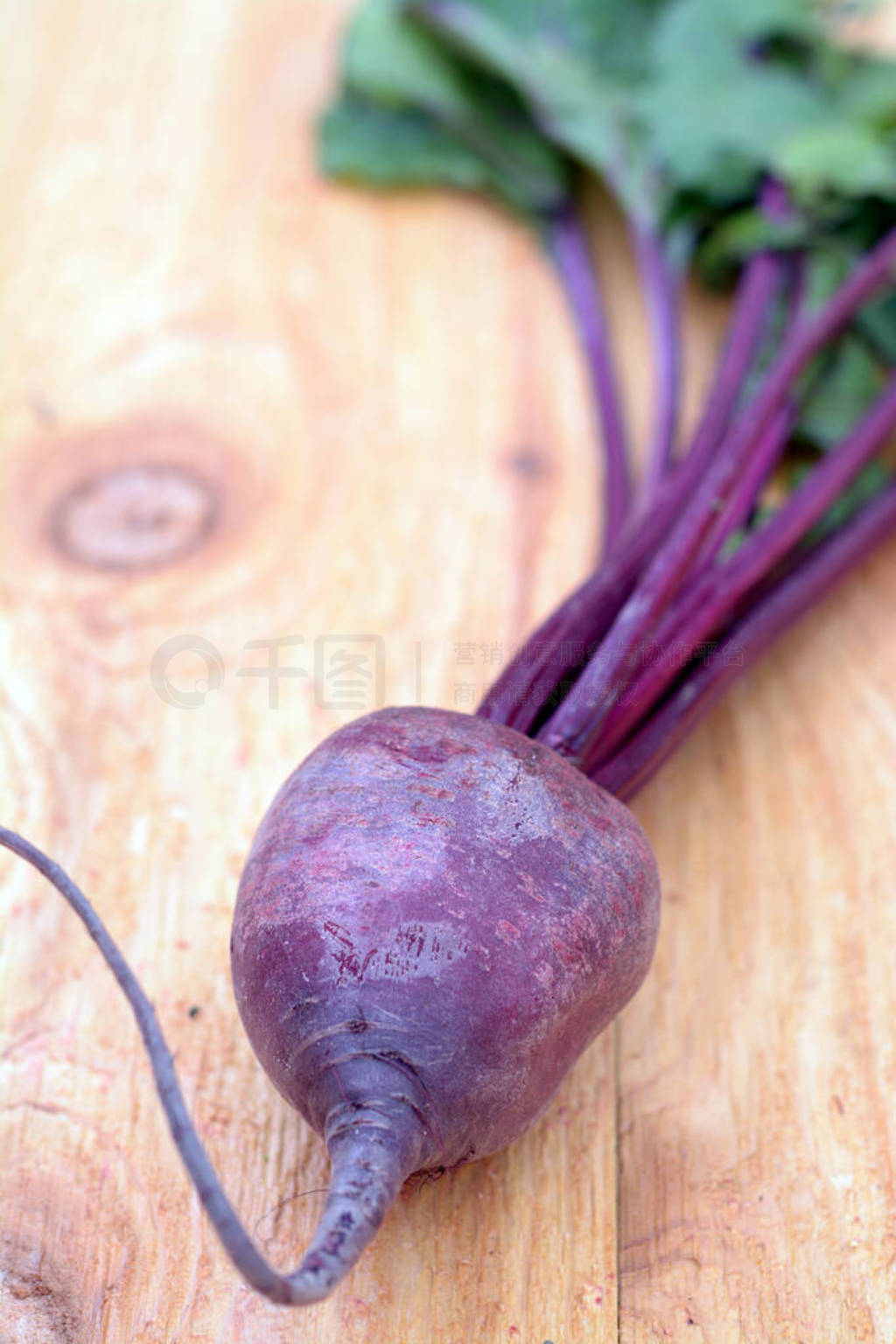 beet root