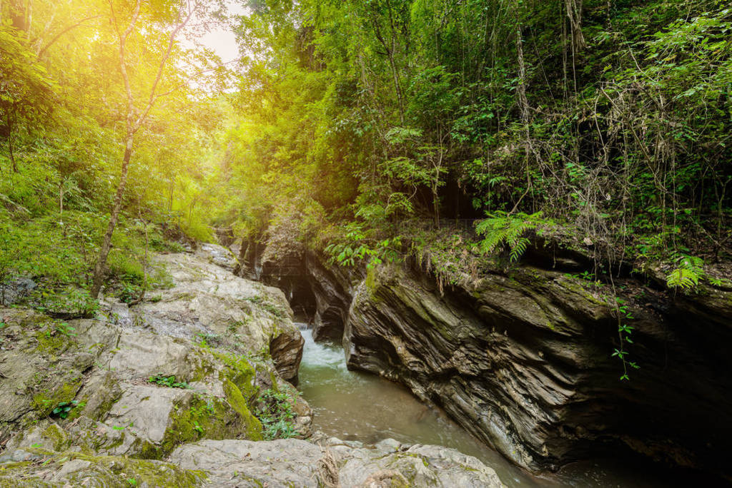 Grand Canyon of Pua District, Nan Province, , Thailand. The name