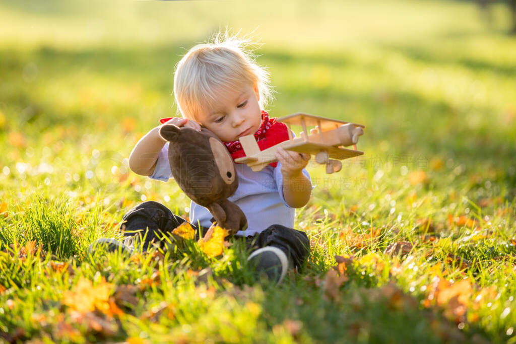 Beautiful blonde two years old toddler boy, playing with wooden