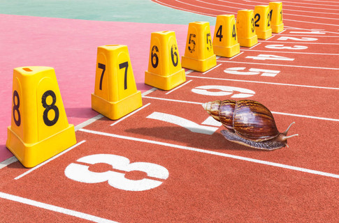 蜗牛准备开始跑步,在体育场比赛竞争概念
