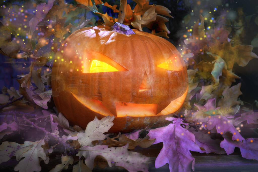 Halloween pumpkin outdoors with candle inside and oak leaves