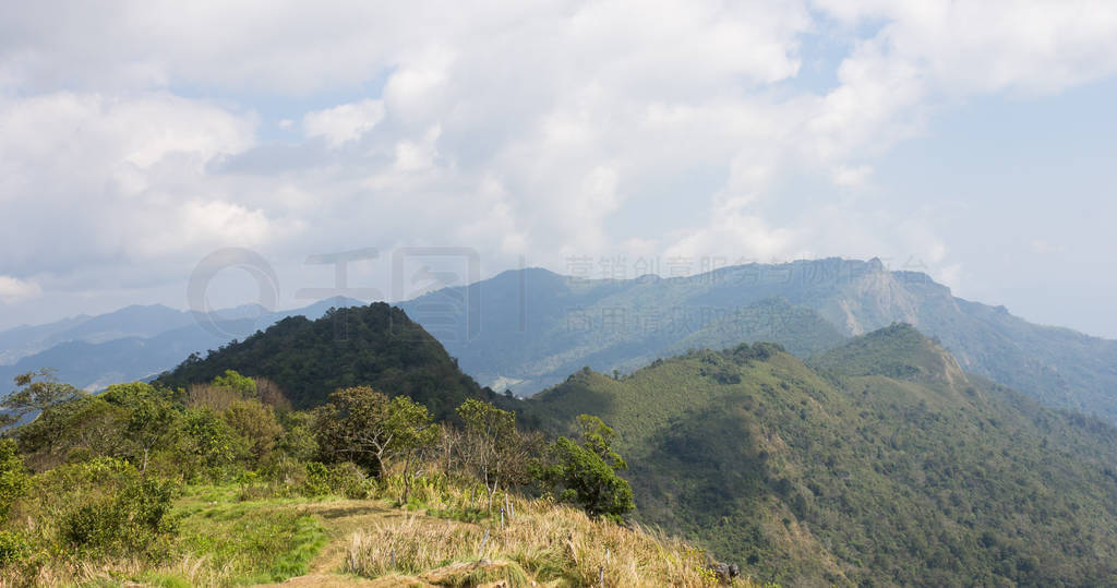 Landscape Mountain with Meadow Tree Sky and Cloud at Phu Chi Fa