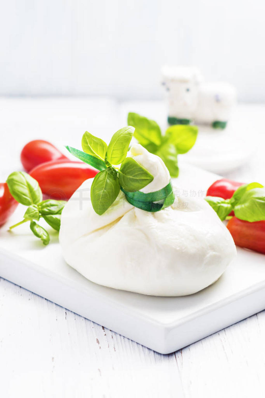  Burrata