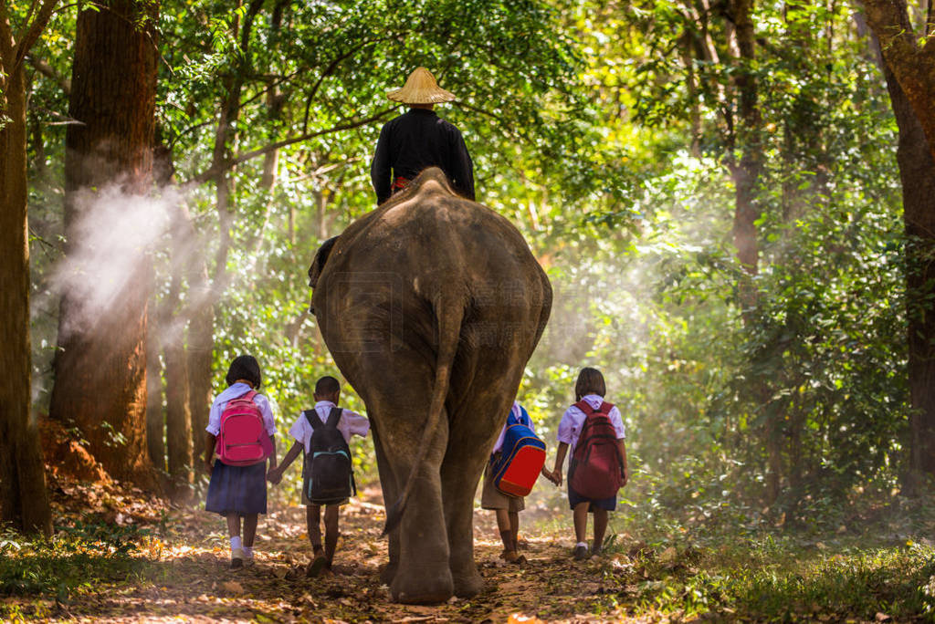 Elephant at sunrise in Thailand