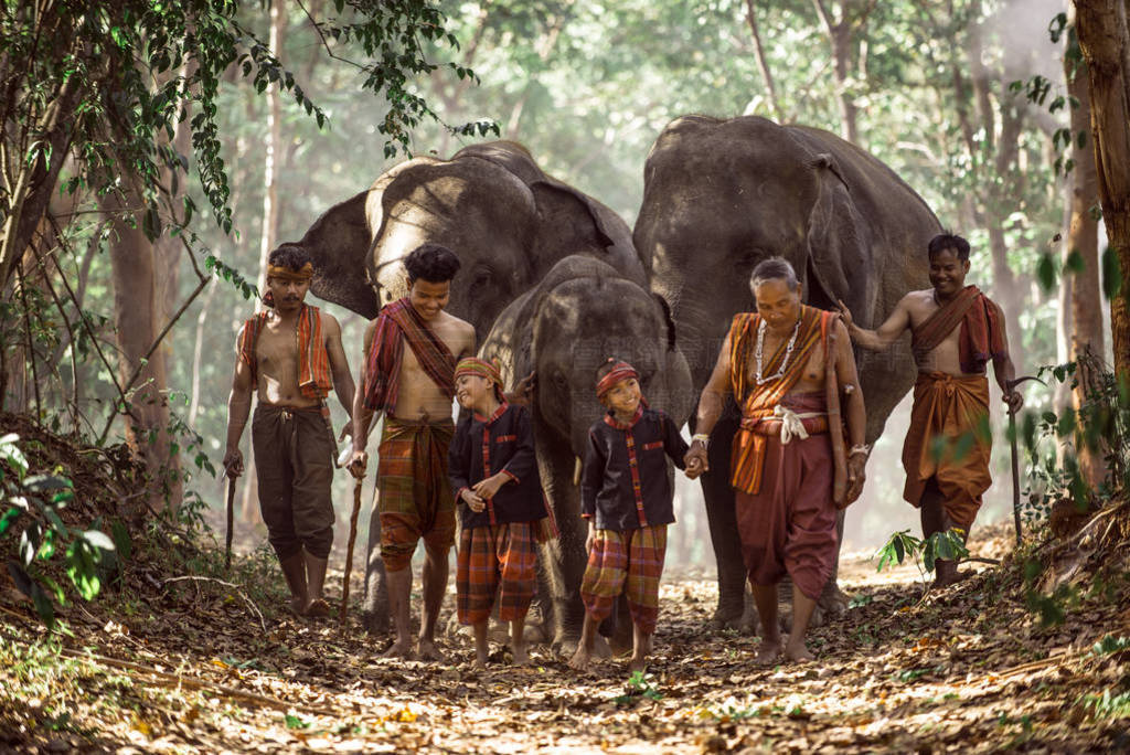 Elephant at sunrise in Thailand