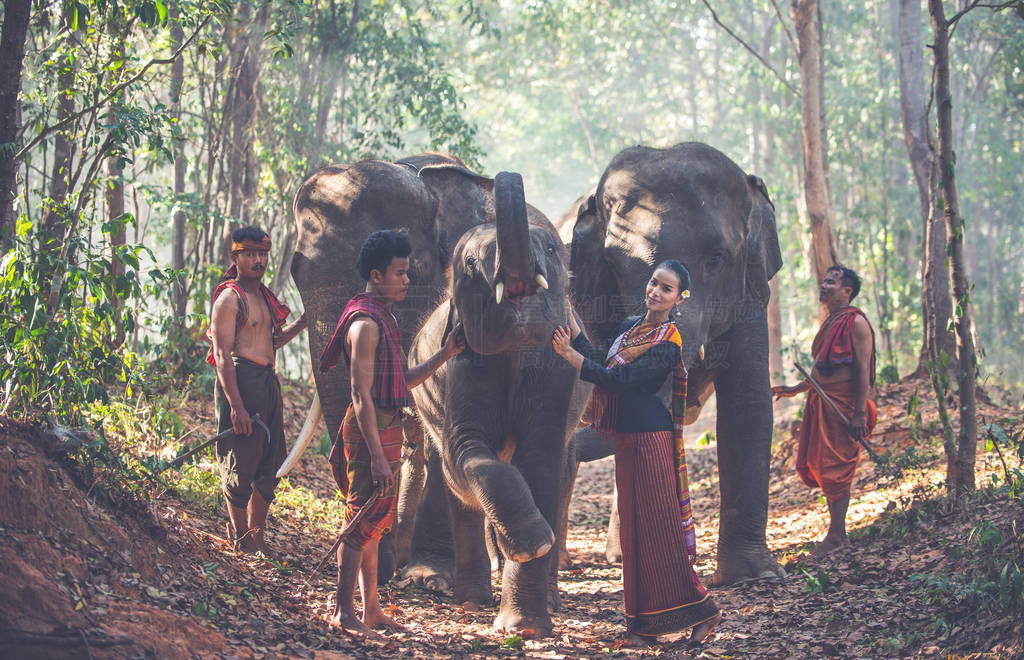 Group of thai shepherds in the jungle with elephants. Historic
