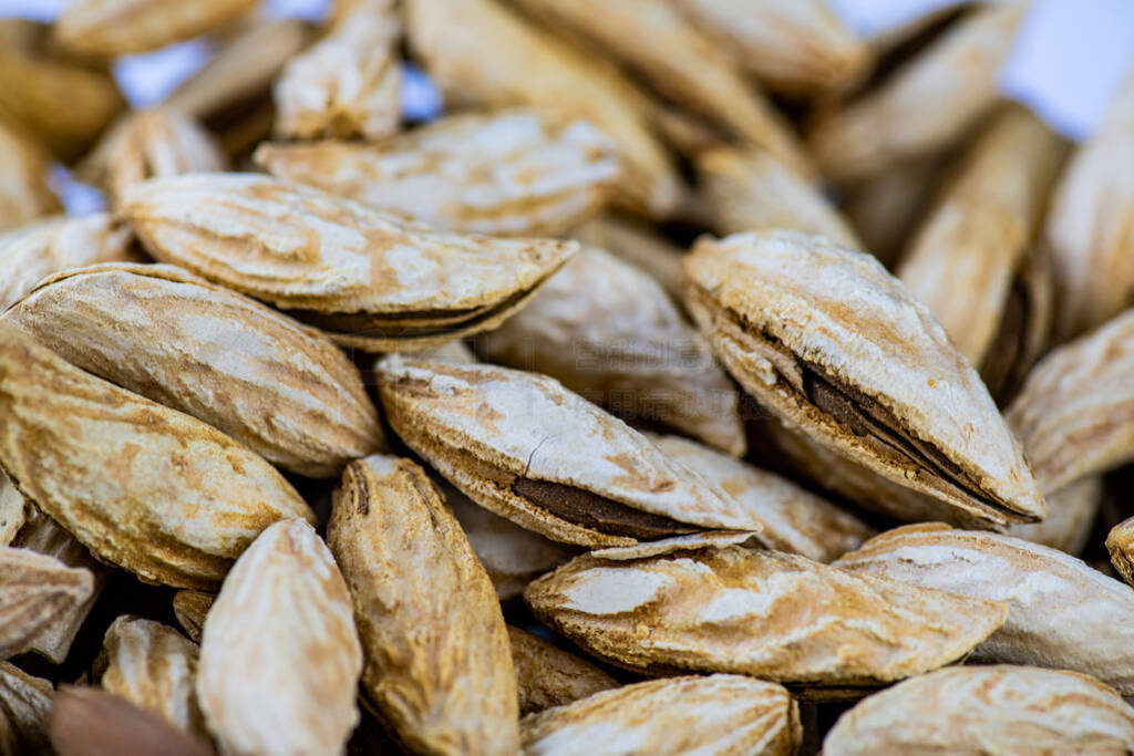 A lot of beautiful almonds are the best food for your brain