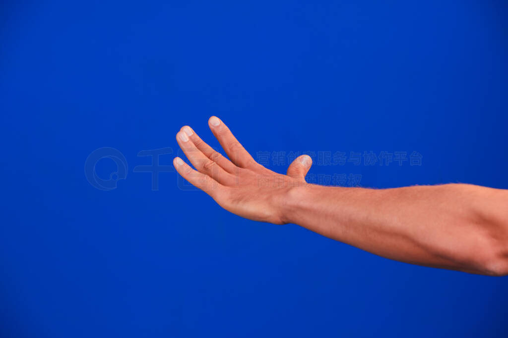 Human hand on blue background chroma-key.