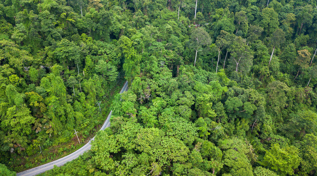 Aerial top view top view of the road through the forest