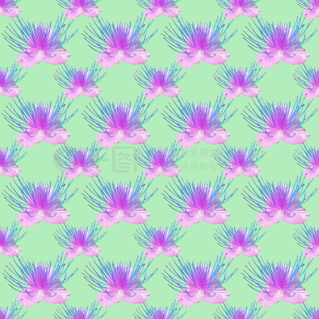 Capers. Seamless pattern texture of flowers. Floral background,