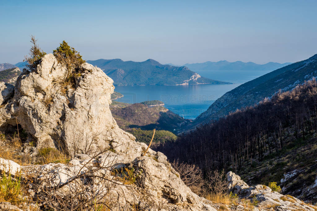 PeljesacۣPijavicino嵽Trstenikľ