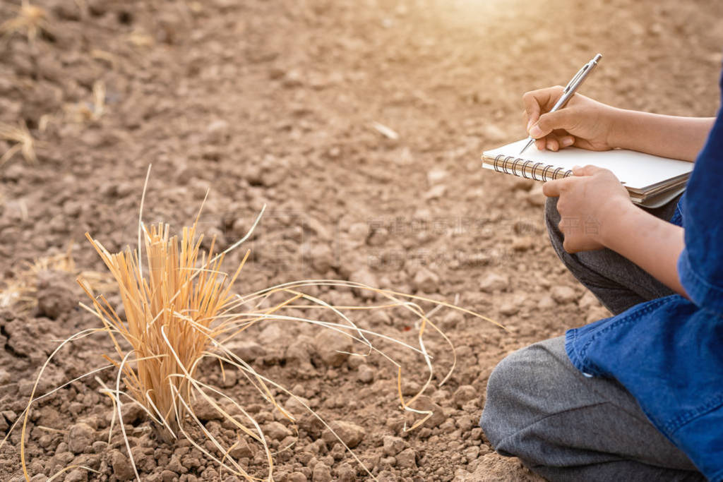 Asian student doing research or checking dry soil in empty land