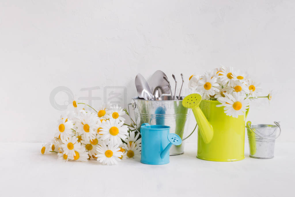 Home interior and garden concept with summer flowers in a metal