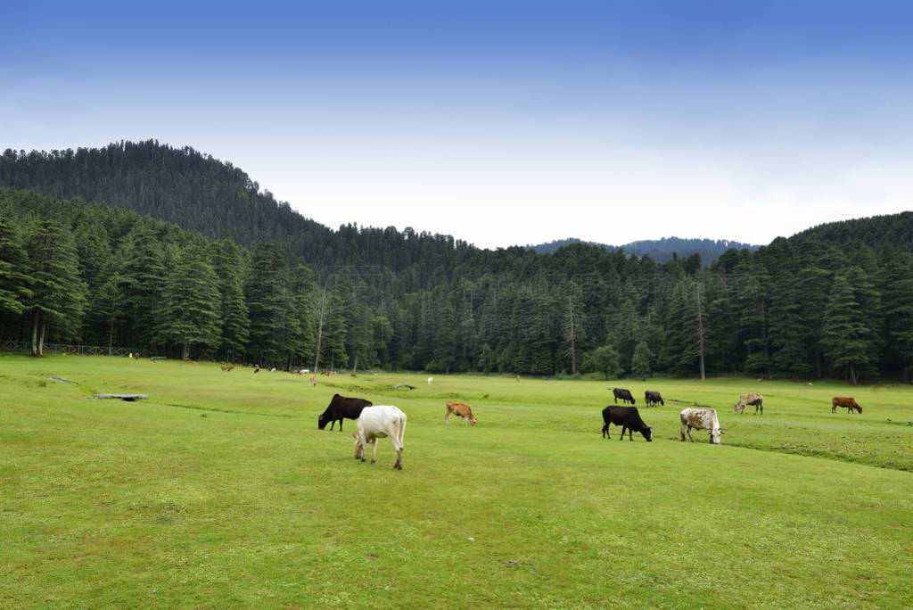 Khajjiar ɽվ