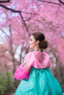 韩博：传统的韩国服饰和美丽的亚洲女孩