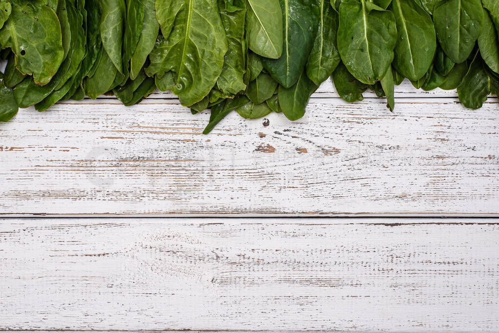 Fresh organic culinary herbs . Wooden plank with green leaves ba