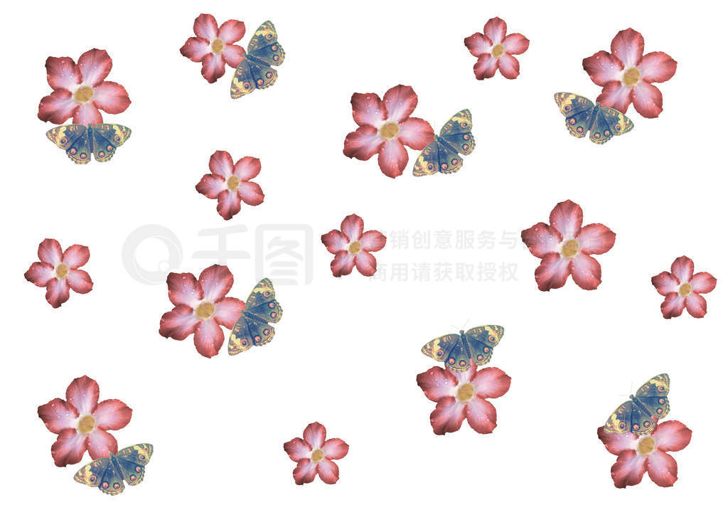 pink flower with butterfly pattern nature background