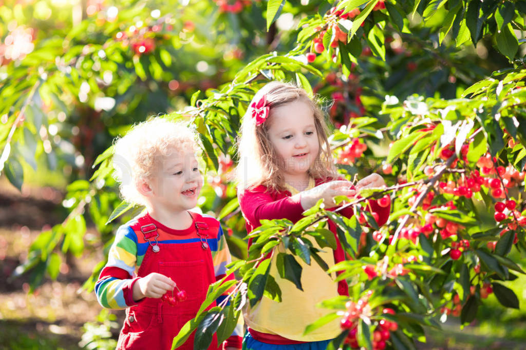 bambinigiardino di fattoria di frutta ciliegץס