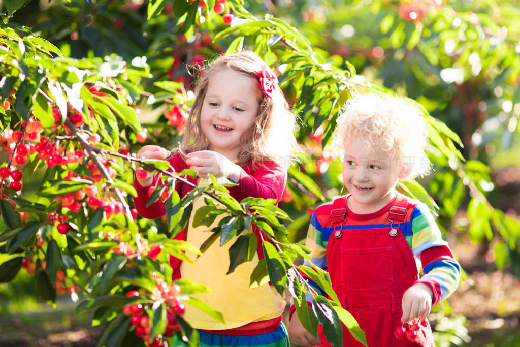 bambinigiardino di fattoria di frutta ciliegץס