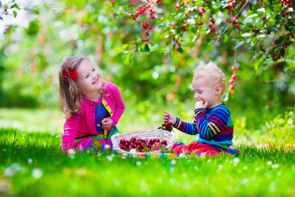 bambinigiardino di fattoria di frutta ciliegץס