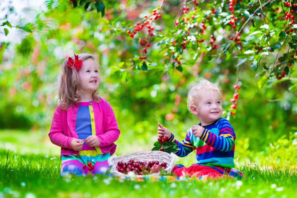 bambinigiardino di fattoria di frutta ciliegץס