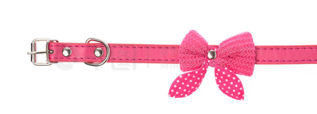 Pink pet collar with polka dots and bow tie isolated over white