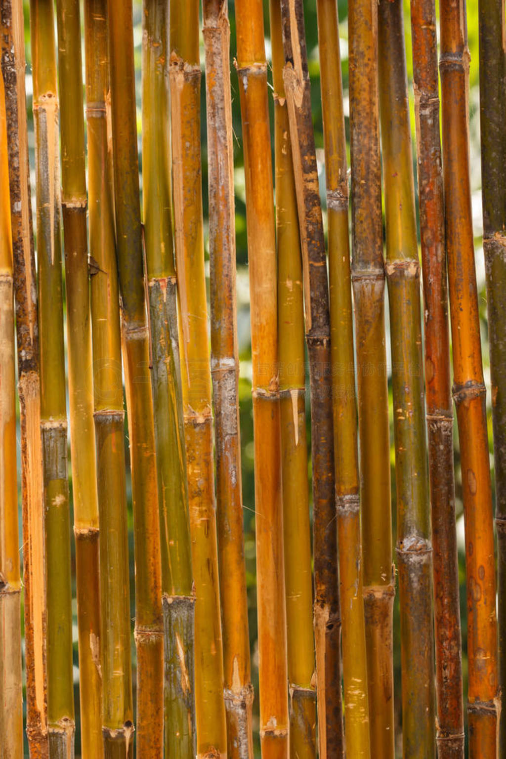 Old Bamboo fence texture