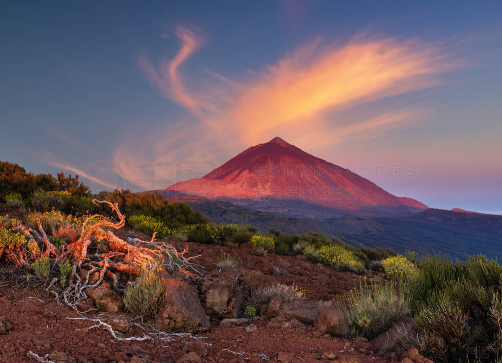 Teide ɽ̫Ĺ֮