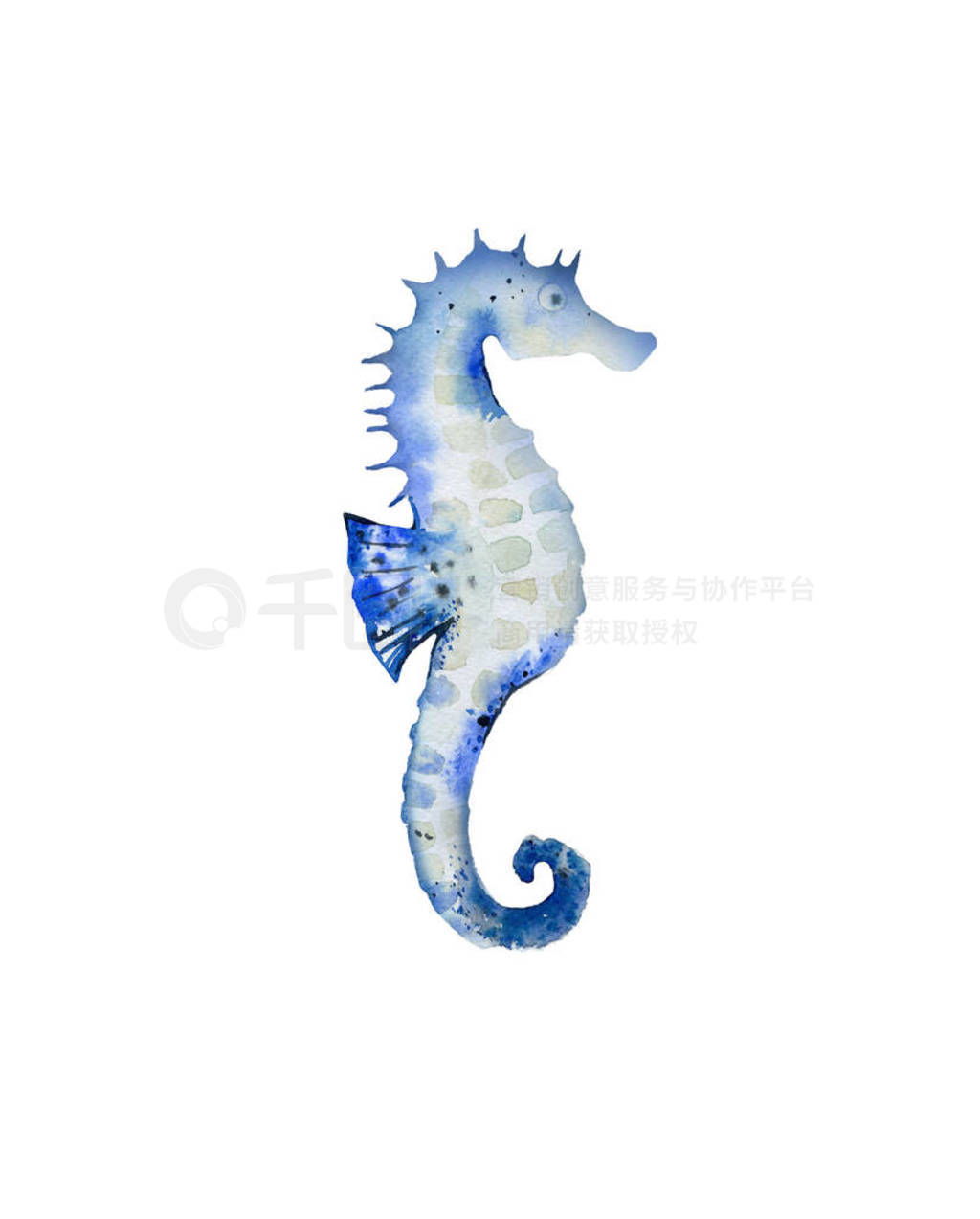 Blue starfish. Sea creature. Ocean life. Watercolour illustratio