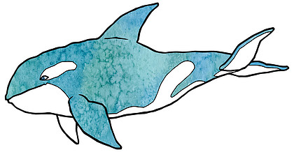 20漂亮的虎鲸美丽水彩纹理矢量图2120碳纤维纹理矢量插画,eps 101220