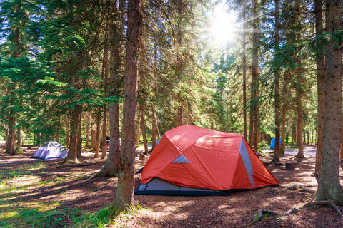 在加拿大班夫国家公园夏季荒野的露营帐篷早晨日出与周围的松树
