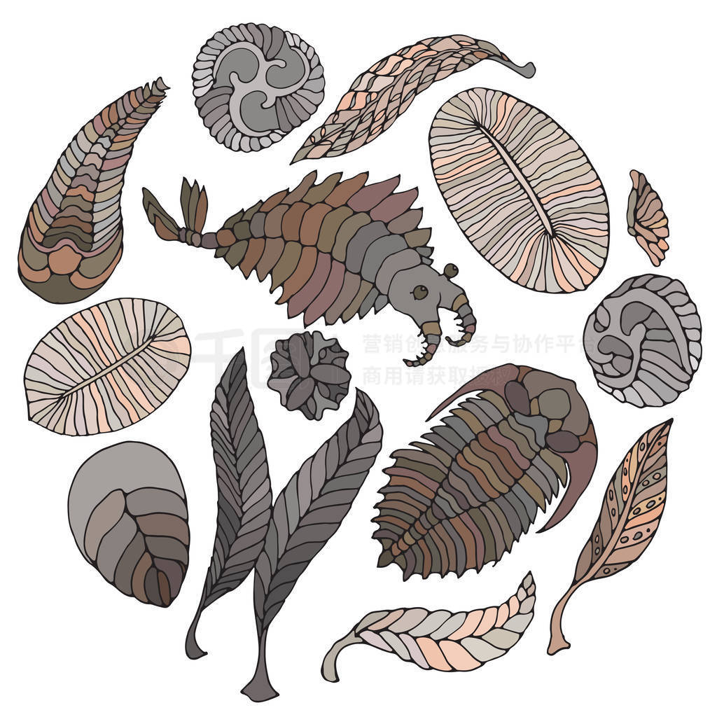 ԪŴ͹ȺɫϵͼAnomalocaris Vendia ˮĸ Charnita Trilo