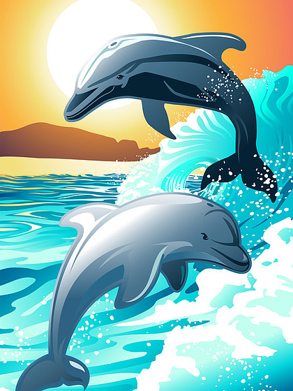 跳出海面的海豚怎么画图片