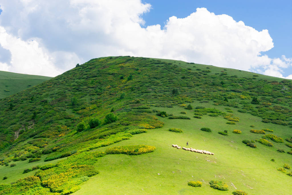 ڱɽϡGiresun