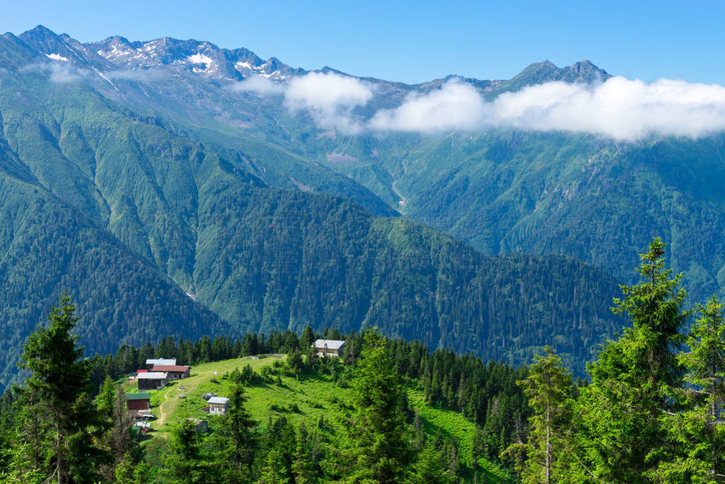 Pokut ԭ rize  Camlihemsin 