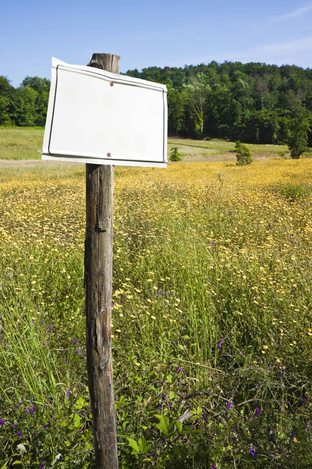 Wooden pole on a green field with blank sign indicating - image